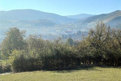 Teren de vanzare in Rasinari - 9