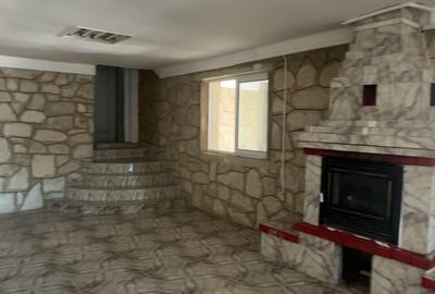 Hala industriala - Ovidiu - Acces A2 - 380.000 euro (Cod E8+E10) - 17