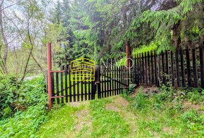 Cabană – Mureș – Sălard – Zona Pensiunea Denisa - 21