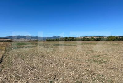 Teren agricol extravilan de 5000 mp, în Bărăbanț