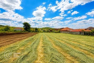 Teren agricol intravilan de 1402 mp, în Șiria
