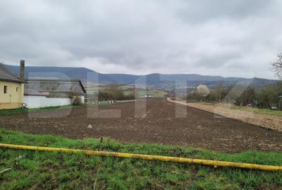 Teren Construcții intravilan de 1000 mp, în Sud