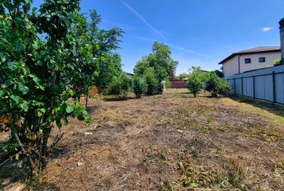 Vanzare teren intravilan 730mp Baneasa – Vatra Noua - Strada Cernesti, nr. 22 - 7