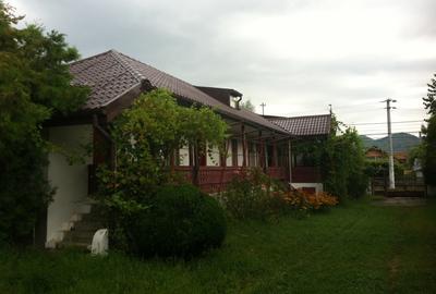 Resedinta vacanță in mediu rural  intravilan - 7