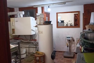 Vila rezidentiala/ de vacanta/investitie/ Cornu de Jos - 8