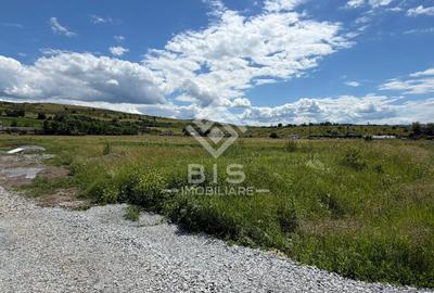 Teren Construcții intravilan de 6855 mp, în Sud