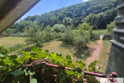 Vanzare casa in Almasu Mare - 10