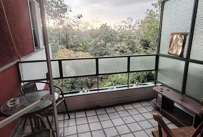 2 CAMERE  | Vedere directa in PARCUL CIȘMIGIU | 74,3 MP - 2