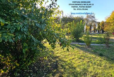 Proprietate cu 6329 mp teren intravilan,Casa P+1 si anexe, Alexandru cel Bun - 2
