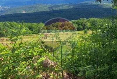 De vânzare teren intravilan 3,690mp Suncuius - 9