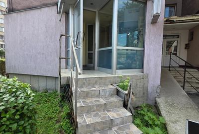 Vand spatiu comercial Deva - 8