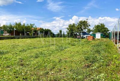 Teren intravilan pentru constructii de vanzare in Paleu, Oradea - 4