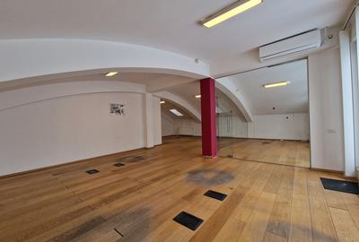 Proprietate de vanzare in vila | Cotroceni | 192 MP | Terasa 60 MP - 5