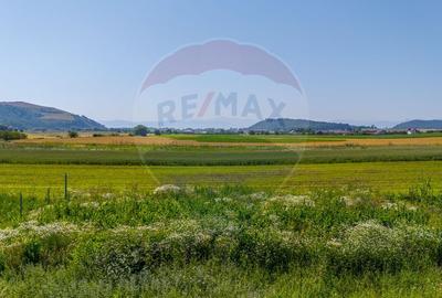 Teren intravilan cu CU-BOD- ZONA CISMASU- 1,020mp / Strada Iasomiei - 11