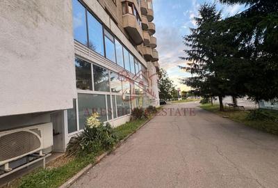 Investiție comercială 1.541 mp cu chiriași – Calea Aradului. - 8