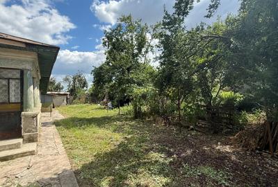 Casa rurala cu gradina mare, langa Bucuresti - 3