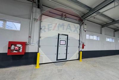 Spațiu industrial, hala moderna Fundulea - ideal productie depozitare - 14
