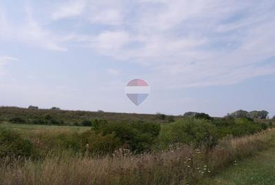 Teren extravilan de vânzare 1400mp  | Partoș - 1