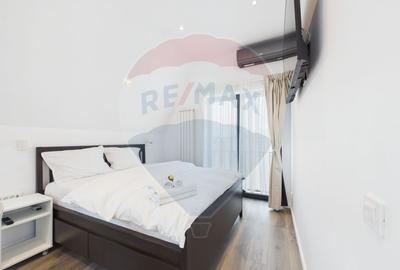Clădire nouă cu lift, curte proprie, terasa 55 mp, in Banu Manta - 23