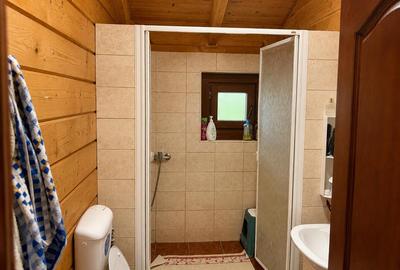 Casa din lemn masiv | 3 camere | Teren 5.000mp -Berceni Prahova - 8