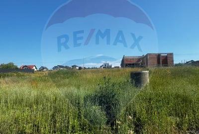 Casă 4 camere | Scheia, Suceava | Semifinisat - 28