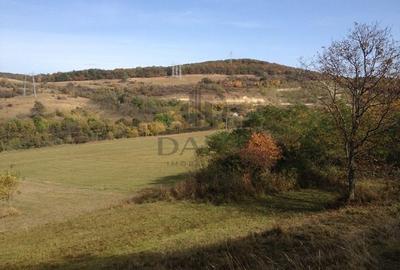 Teren extravilan de vanzare 1.125 mp Două fronturi Zona Gusterita - 2