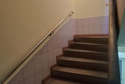 GARA DE NORD (Spitalul Witting)- 2 apartamente, 6 camere, vila solida renovata! - 19