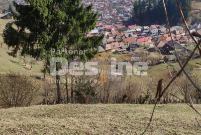 Teren agricol extravilan de 5000 mp, în Rucăr