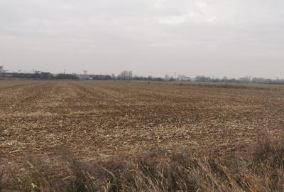 Teren Exclusiv 4.550 mp Ciolpani - Zona Narrative / Pădurea Snagov - 7