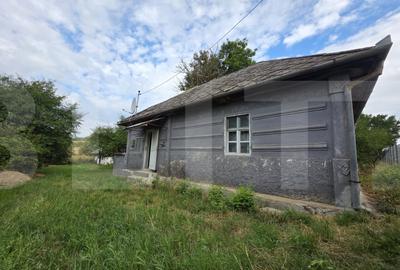 Casă individuală cu 2 camere în Moacșa
