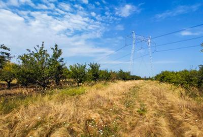 Parcele Teren Extravilan Livada si Pasune Lunca Corbului  Arges - 10