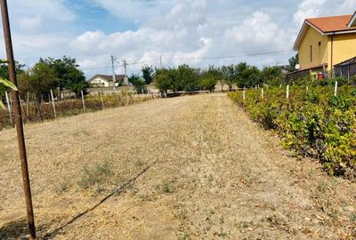 Teren constructii de vanzare - Valu lui Traian, Constanta - 1