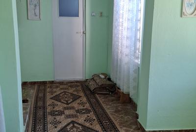 Casa 4 camere in Seitin Judetul Arad - 16