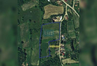 Teren agricol intravilan de 12614 mp, în Ghirolt