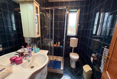 Vand proprietate doua case,  magazie, gazon,  livada, gradina - 9