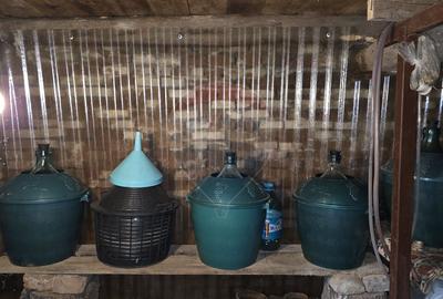 Domeniu rural, gospodarie/multifunctionala cu casa, livada, vie - 12