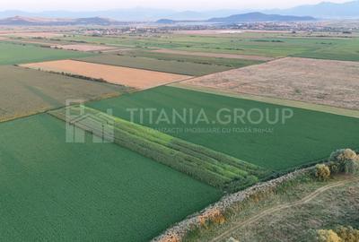 Teren extravilan, 8700 mp, pretabil agricultură sau investiție - Bod - 4