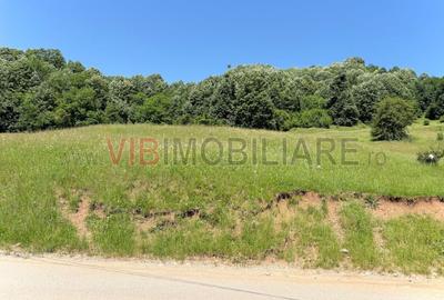 Teren generos cu aer curat si liniste deplina in Breaza - 2