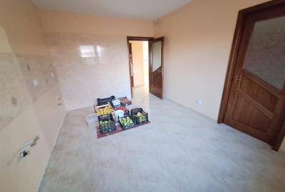 Casa P+1+M, 6 camere, garaj, beci, Nicolae Balcescu - 10