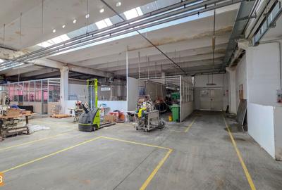 De inchiriat spatiu industrial in Turnu Magurele - Teleorman - 12