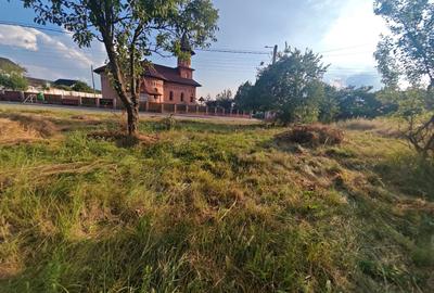 Teren intravilan 1.600 mp Mioveni – Zona Pruni - 4