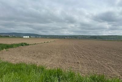 Teren extravilan 18.500 mp in Selimbar / jud. Sibiu - 3