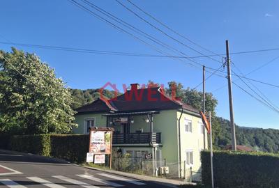 DOUĂ O PENSIUNE ȘI O CASĂ DE VACANȚĂ, SITUATĂ PE ACEAȘI CURTE - 9