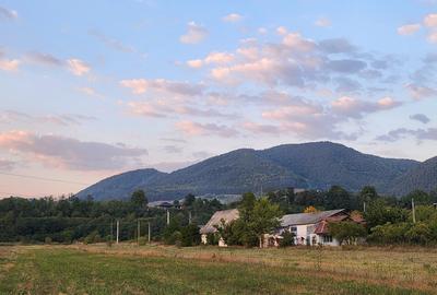 Teren intravilan 8.280 mp, utilități și construcții – Bistrița, Neamț - 2