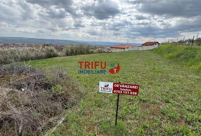 Teren Construcții intravilan de 1315 mp, în Cetate