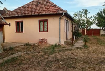 Vanzare Casa in localitatea Bodrogu Nou - 4