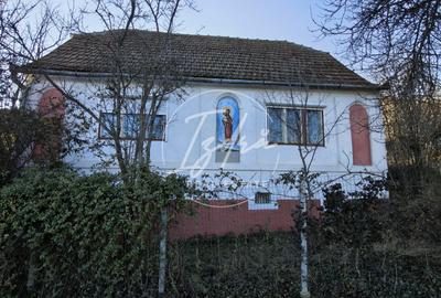 Casa de vanzare la tara cu 1303 mp teren - 16