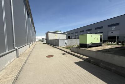 Depozite logistice 5.000 mp de vânzare, Dragomirești-Vale, Centură - 8
