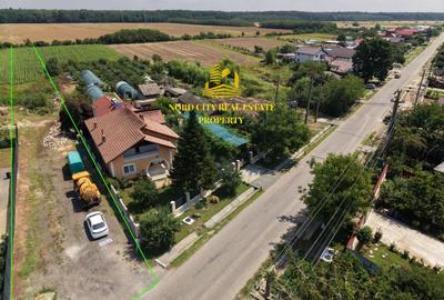 Teren 2.700 mp Ciocănești - Urziceanca | La asfalt - 15