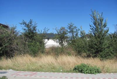 Prelungirea Ghencea, Safirului, Stradal - 3